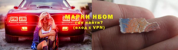 ПСИЛОЦИБИНОВЫЕ ГРИБЫ Кулебаки
