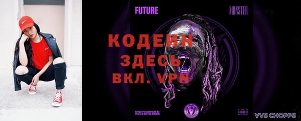 ПСИЛОЦИБИНОВЫЕ ГРИБЫ Кулебаки
