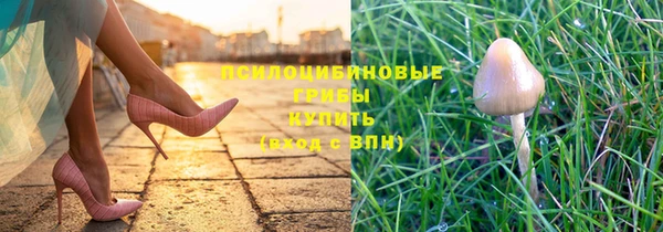 ПСИЛОЦИБИНОВЫЕ ГРИБЫ Кулебаки