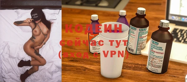 ПСИЛОЦИБИНОВЫЕ ГРИБЫ Кулебаки