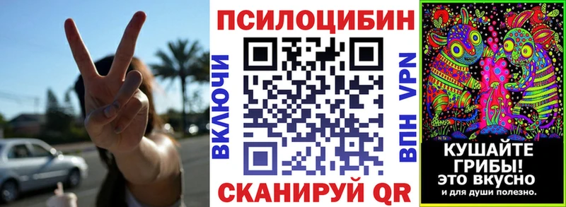 Купить где  Чулым  Псилоцибиновые грибы мухоморы 